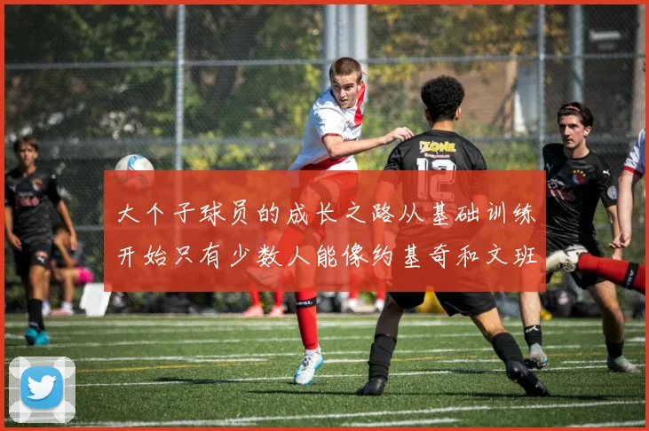 大个子球员的成长之路从基础训练开始只有少数人能像约基奇和文班那样成功