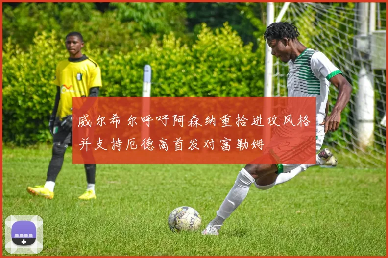 威尔希尔呼吁阿森纳重拾进攻风格并支持厄德高首发对富勒姆